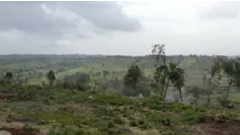 Screenshot_8